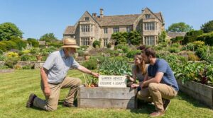 garden advice homenumental