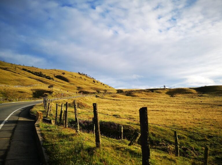 daniela ruiz desnuda