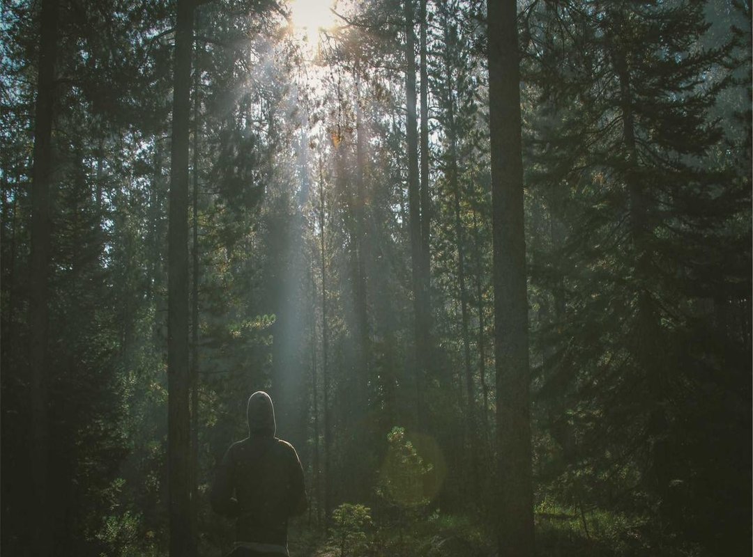 Beyond the Purchase: The True Cost of Chiron Ownership