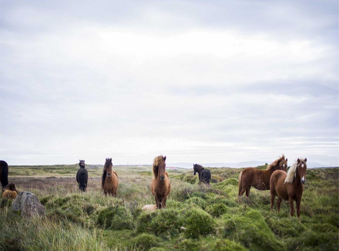 Your First Anti-Drug Doodle: A Step-by-Step Tutorial