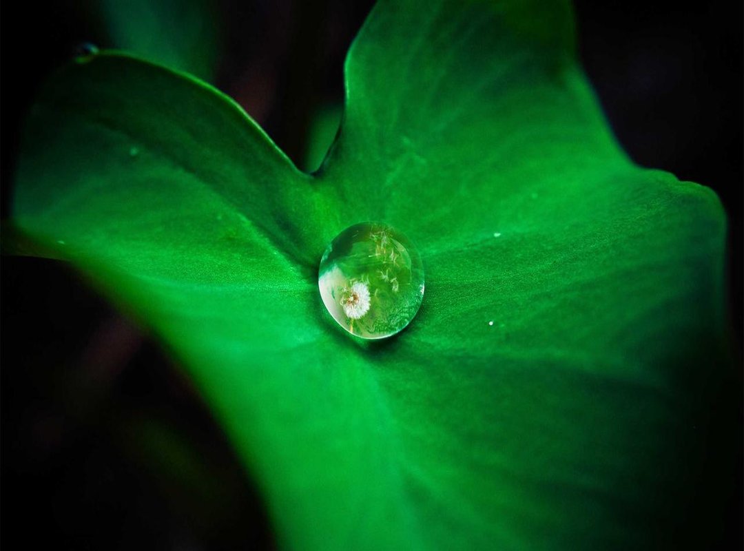 How to Download 'Eka Yaye Kaka Wati' for Offline Listening (Step-by-Step)