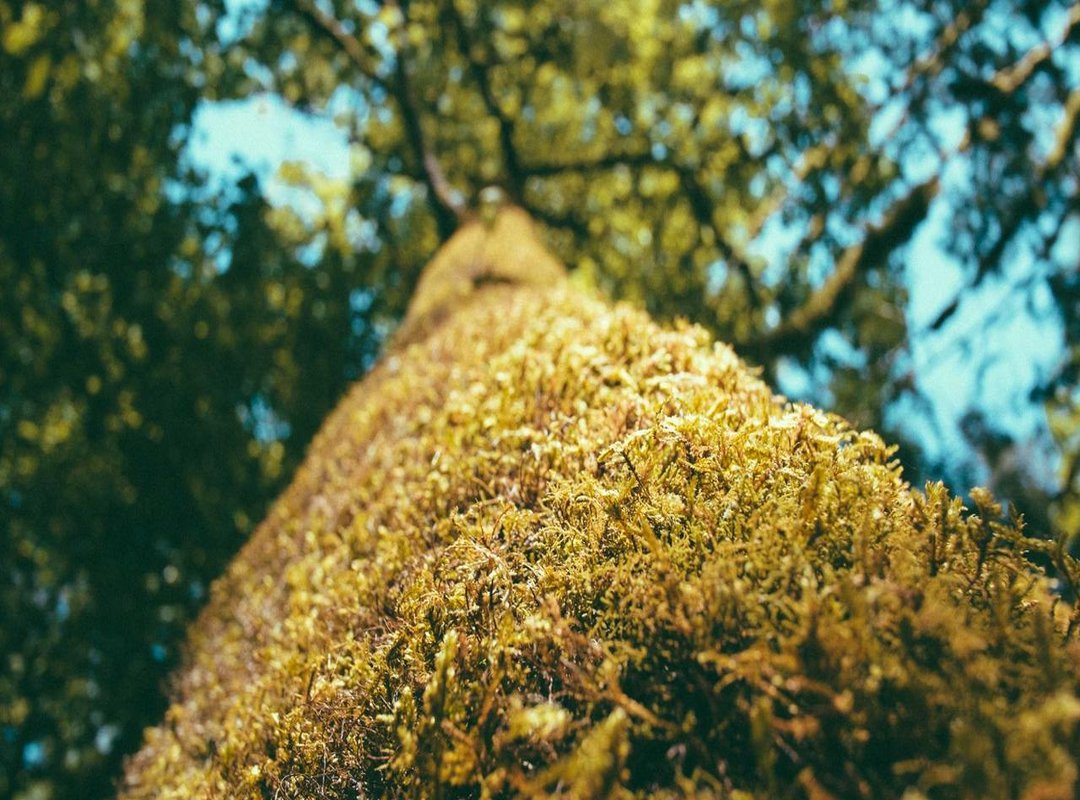 The Science of Attraction: Why This Feature Is So Appealing