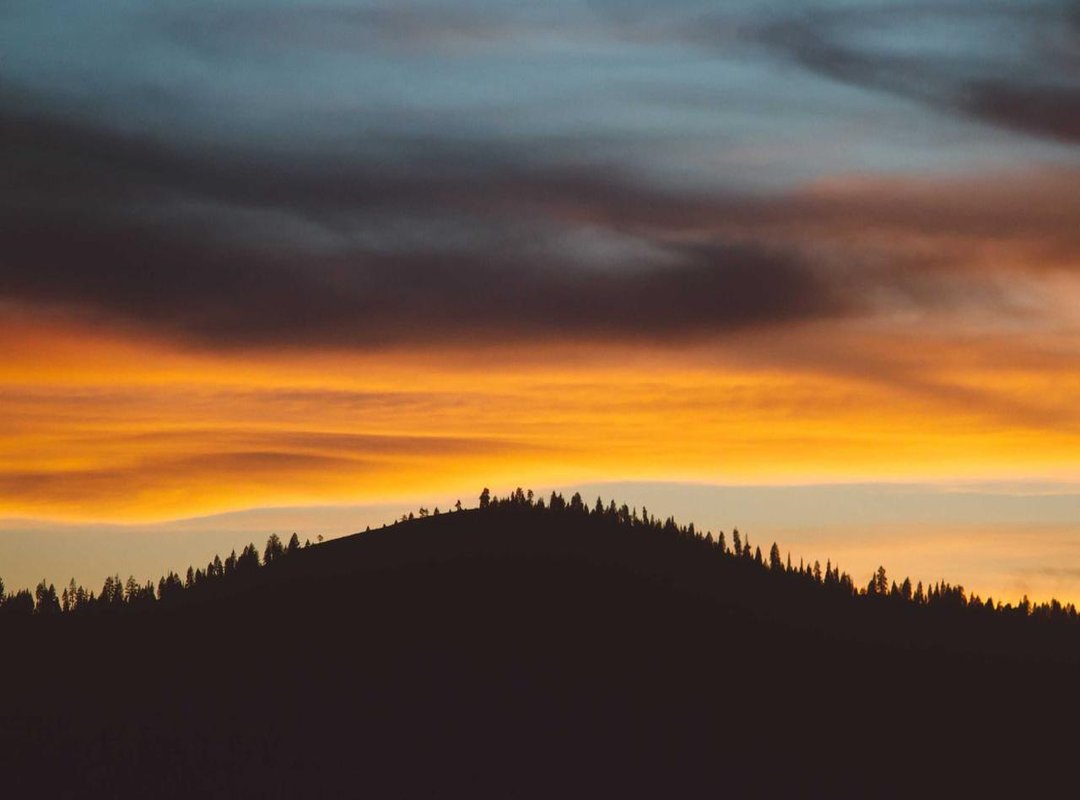 The Real Pros and Cons: A Balanced Perspective