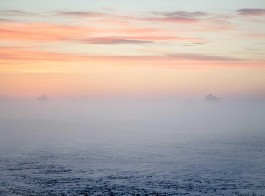 wie is siranoosh sayad