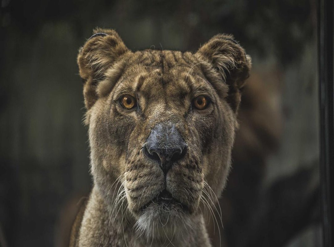 Planning Your Trip: Best Times to Visit for Optimal Wind