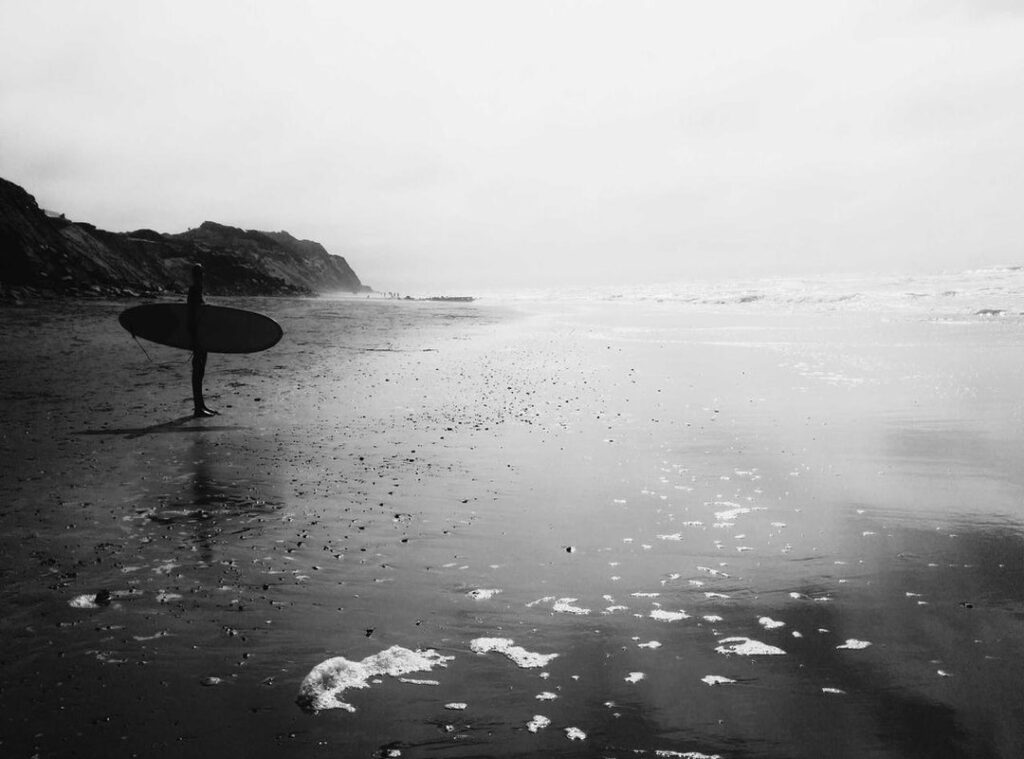 xxv xxviii, xxix xxvii xxiv, xxv