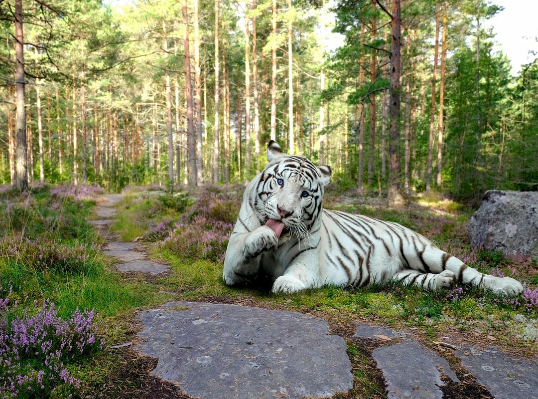 The Deeper Spiritual Significance of 'The Originator'